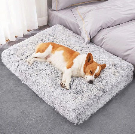 Orthopedic Plush Dog Bed – Deep Sleep Memory Foam - Faroq's Pet Boutique