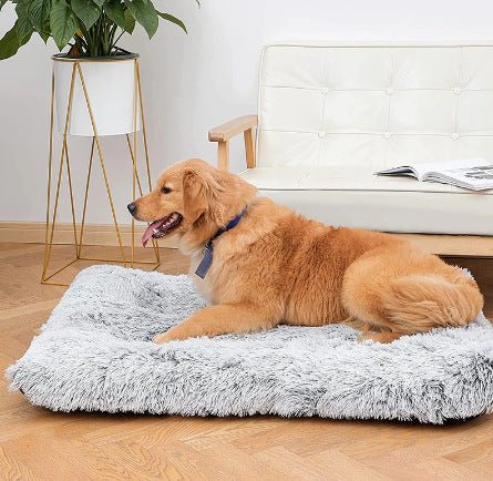 Orthopedic Plush Dog Bed – Deep Sleep Memory Foam - Faroq's Pet Boutique